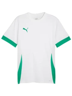 Pánský dres teamGoal Jersey white and green 15 pánské model 21392051 - Puma
