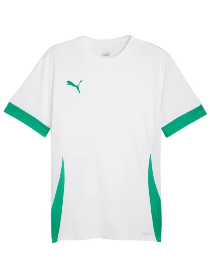 Pánský dres teamGoal Jersey white and green 15 pánské model 21392051 - Puma Pánský dres teamGoal Jersey white and green 15 pánské model 21392051 - Puma