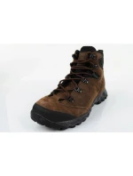 Pánske trekové topánky Aku Coldai GTX