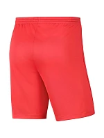 Pánské šortky Dry Park III NB K M   model 15976407 - NIKE