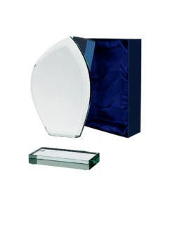 Sklenená trofej s matným podstavcom a puzdrom