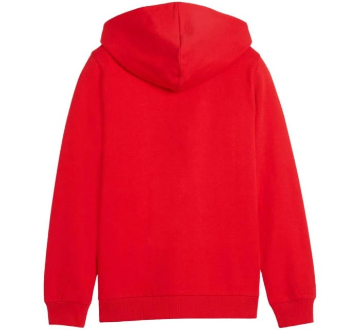 Puma teamGoal Casuals červená 658596 01