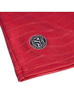 Pánsky dres Puma FPF Home Jersey Replica red 788141 77 Pánske