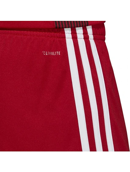 Pánské šortky 19  model 15950598 - ADIDAS