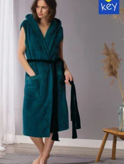 B21 model 18595047 - Key