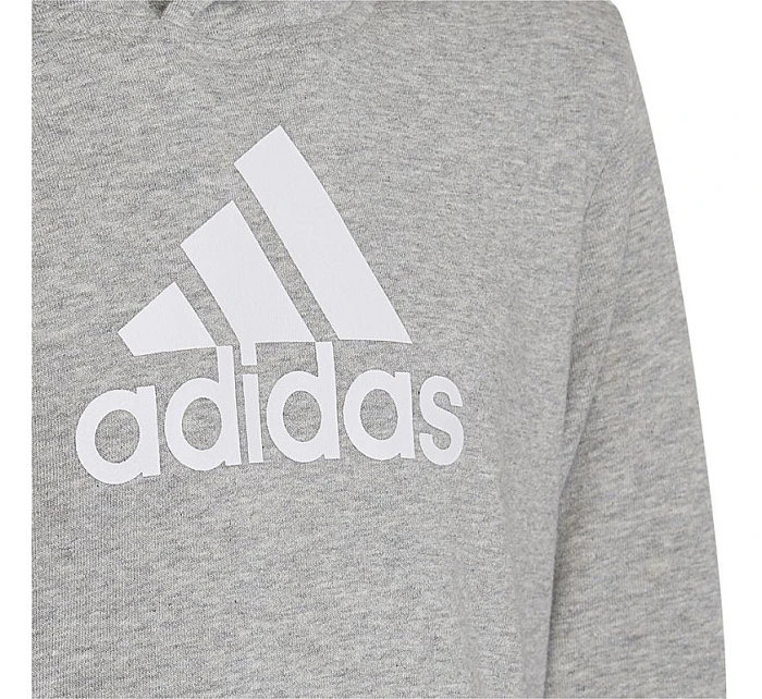 Adidas Colourblock Hoodie Jr HN8563