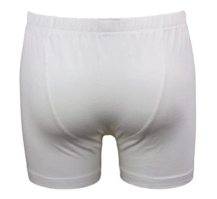 Boxerky Skin model 1573782 - Favab Boxerky Skin model 1573782 - Favab