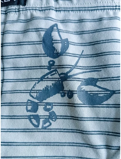 Pánské boxerky MXH model 20504529 B24 M2XL - Key