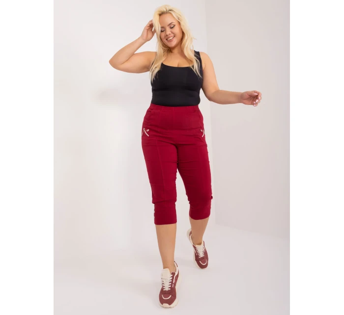 Spodnie AT SP model 19658687 bordowy - FPrice Spodnie AT SP model 19658687 bordowy - FPrice