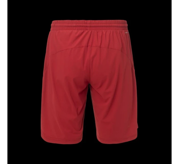 Pánské šortky model 21357277 - IQ