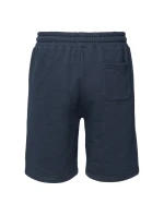 Pánske šortky AZYNI