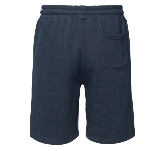 Pánske šortky AZYNI