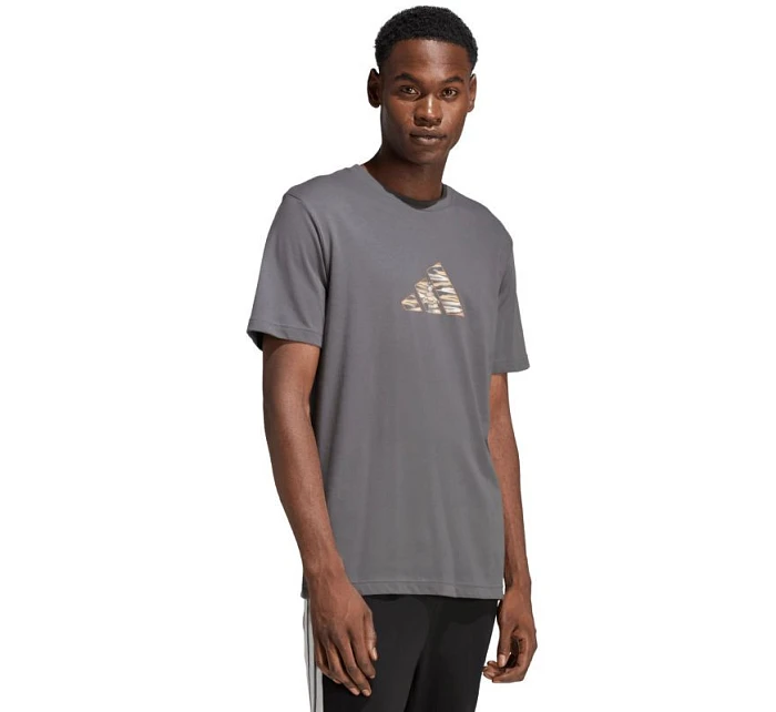 Pánske tričko adidas Camo Expolorer Graphic grey JZ7501 pánske
