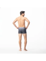 Pánske plavky Stripe M 92800076209 - Aquawave