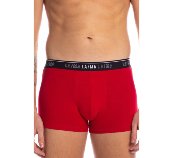 PÁNSKE ŠORTKY M-1021SZG 3PACK