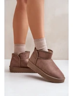 Dámské Sněhule Na Platformě model 21677079 Taupe - D.Franklin