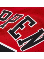 Mitchell Ness męska Chicago Bulls NBA Jersey pánské model 21760474 Mitchell Ness męska Chicago Bulls NBA Jersey pánské model 21760474