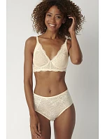 Soft model 229858 Triumph Soft model 229858 Triumph