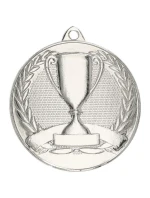 Celková strieborná medaila s pohárom