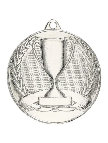 Celková strieborná medaila s pohárom