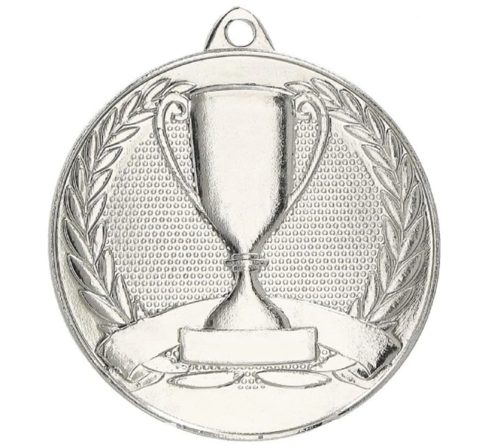 Celková strieborná medaila s pohárom