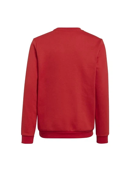 Dětská mikina Entrada 22 Sweat Jr model 17912172 - ADIDAS