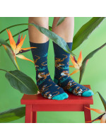Banana Socks Ponožky Classic Roar