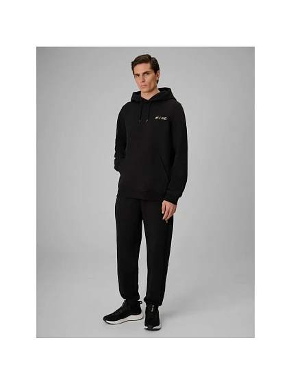 Spodnie dresowe joggery męskie | model 22551955 - 4F Spodnie dresowe joggery męskie | model 22551955 - 4F