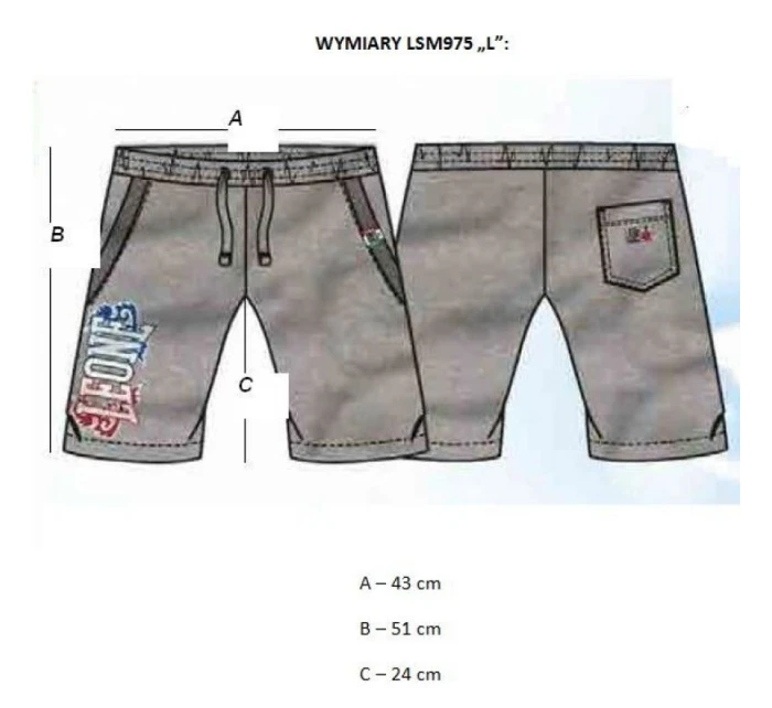 Pánské šortky černé model 21348639 - LEONE Pánské šortky černé model 21348639 - LEONE