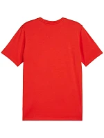 Puma Team Goal Casuals Tee M 658615 01 pánske