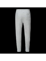 Męskie Spodnie model 21358087 - Iguana Męskie Spodnie model 21358087 - Iguana