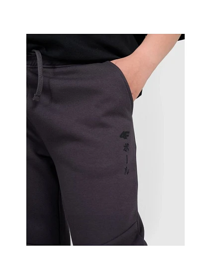 Chlapecké tepláky joggers model 21736557 - 4F Chlapecké tepláky joggers model 21736557 - 4F