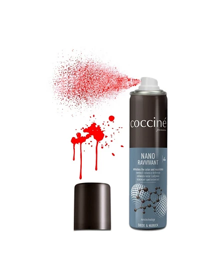 Suede and Care Nano model 21496446 - Coccine