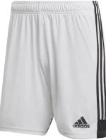 Šortky adidas Tastigo 19 M DP3247