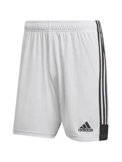 Šortky adidas Tastigo 19 M DP3247