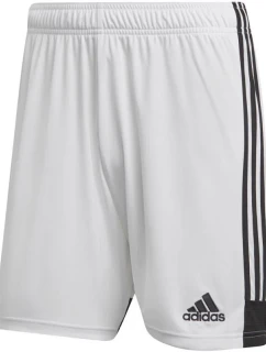 Šortky adidas Tastigo 19 M DP3247