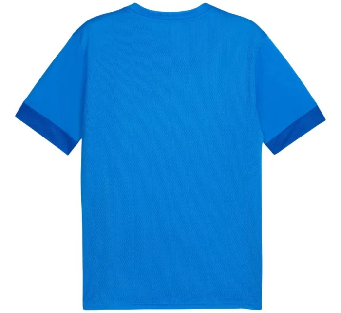 teamGoal Jersey M 02 pánské model 21283881 - Puma