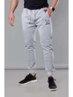 Pánske tepláky s potlačou Light Grey (8K178-2)