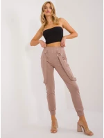 Spodnie dresowe RV DR model 19926671 ciemny bezowy - FPrice Spodnie dresowe RV DR model 19926671 ciemny bezowy - FPrice