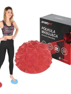 FIT model 21824945 - Enero