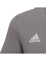 Entrada 22 Jr kids tričko HC0444 - Adidas