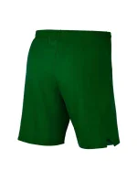 Pánske kraťasy Laser Woven IV Short M AJ1245-302 - Nike