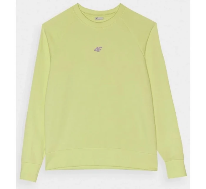 Mikina Jr model 19912489 - 4F