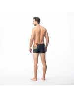 Plavecké boxerky M model 20206677 - AquaWave Plavecké boxerky M model 20206677 - AquaWave
