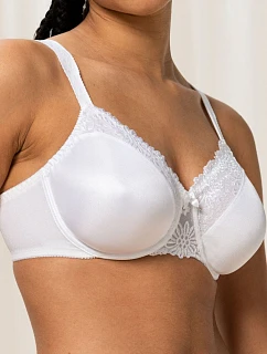 Soft model 230270 Triumph