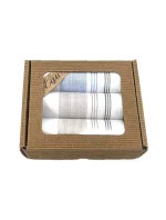 Pánské kapesníky model 20743298 A'3 - EGA