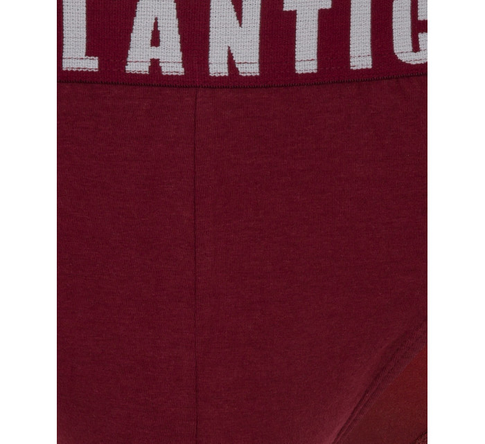 Pánske nohavičky Atlantic 3MP-094/01/02 A'3