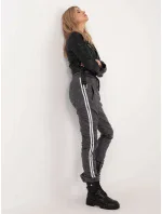 Spodnie DHJ SP model 20576477 grafitowy - FPrice