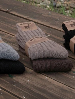 Pánské ponožky   A'2 3546 model 21796561 - WiK