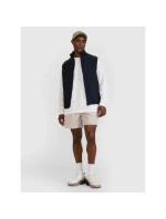 Pánské tričko bez rukávů model 21438822 - 4F Pánské tričko bez rukávů model 21438822 - 4F